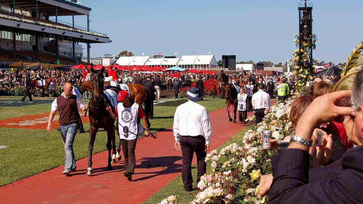 melbourne-cup-rba-meeting-preview.jpg