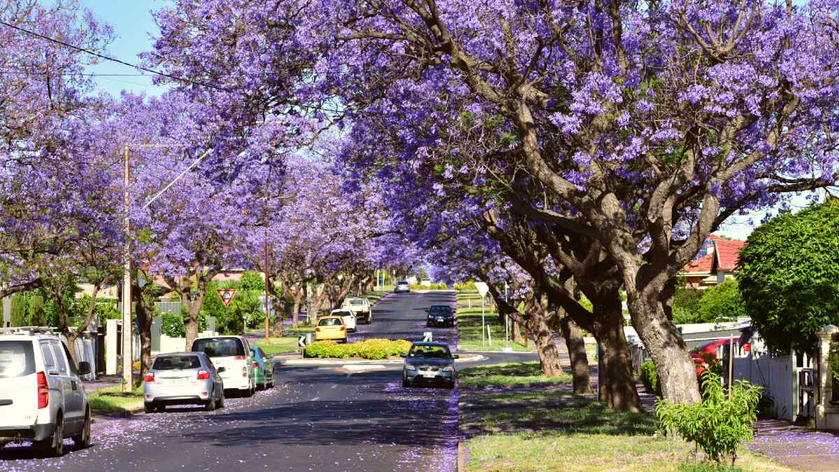 spring-street-ryan-vand-pexels.jpg