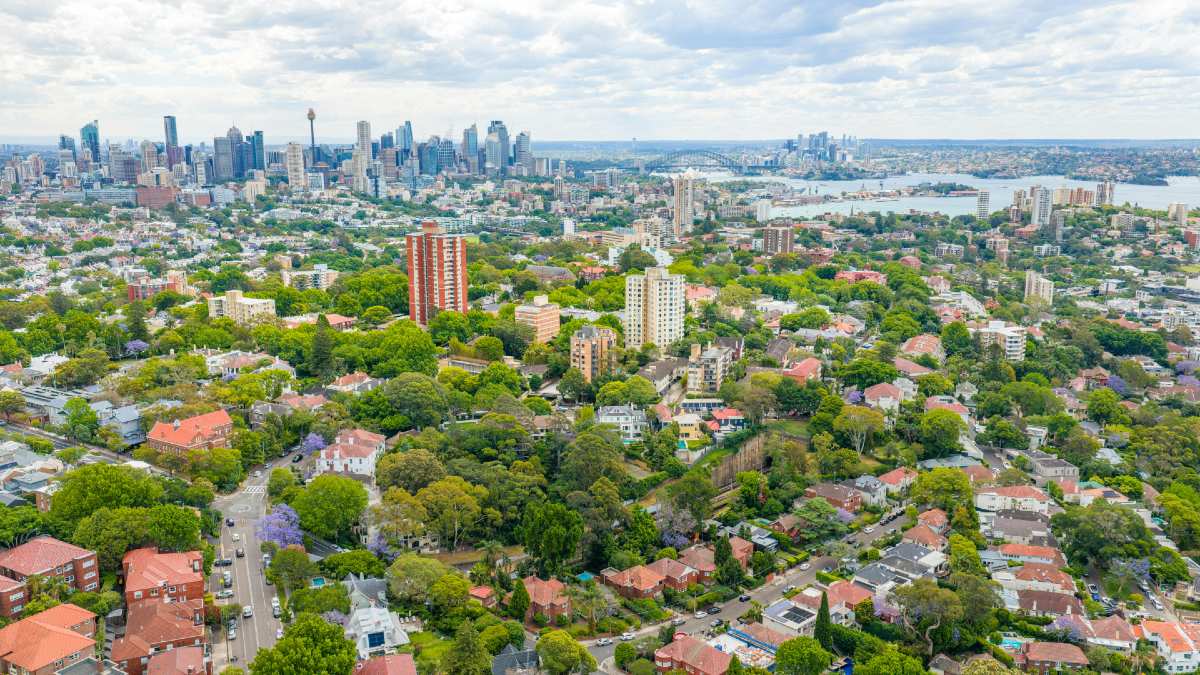 sydney-pexels.jpg