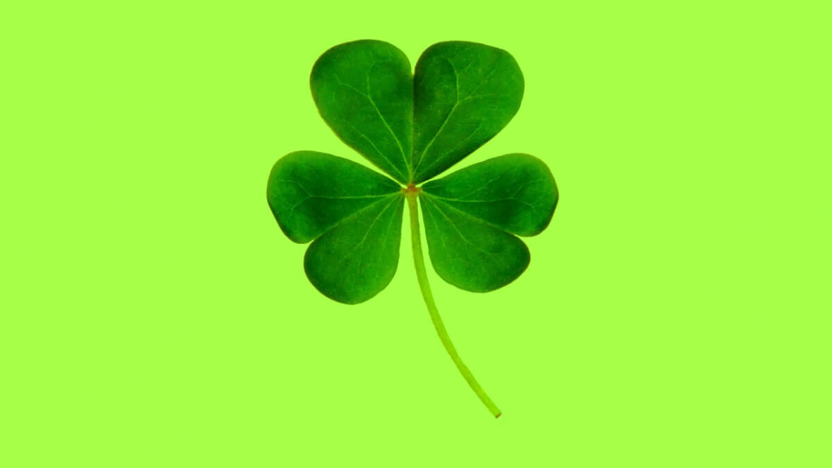 Don’t Leave Success to Chance: Mastering the Four Types of Luck That ...