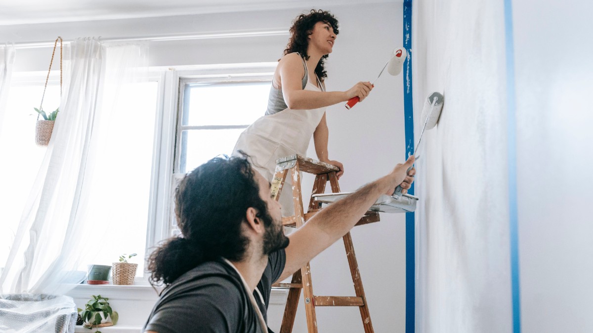 home-repainting-blue-bird-pexels.jpg